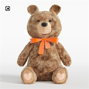 Teddy bear